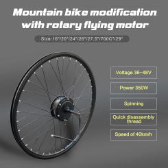 36V48V 250W350WHigh Speed Brushless Electirc Bicycle Gear Hub Motor E-bike Motor Front wheel, rear wheel Drive PASION