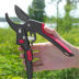 Slide image aea692005ed64249a91c009662ccfda7