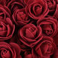 wine red rose