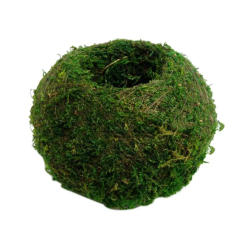 Artifical Moss Ball Green Flowerpot Creative DIY Gardening Potted Plants Bonsai Dendrobium Planting Box Home Decoration