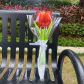 red tulips
