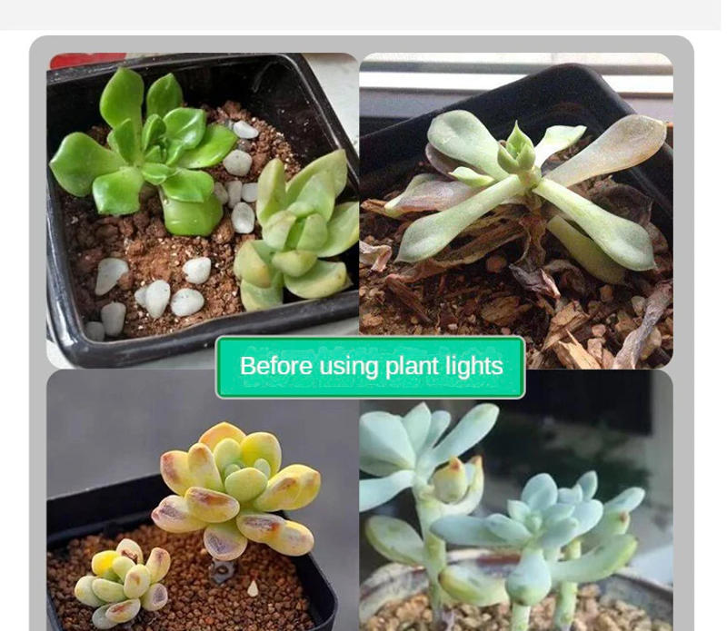 Description Picture 5 of itemUSB LED Grow Light Flexible LED Full Spectrum Plant Lamp Flower Seedling Growth Light Phyto Lamp Hydroponic Lighting Highquality