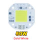 Cold White 50w
