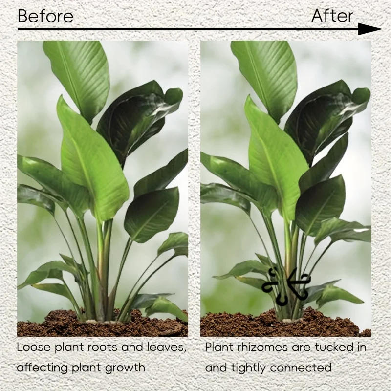 Description Picture 5 of item4 Piece Set Of Plant Stem Clips For Indoor Climbing Plants Plastic Plant Stands Flower Stem Gathering Clips Gardening Tools