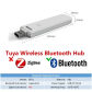 Bluetooth Gateway