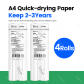 2-3Y Paper 4Rolls