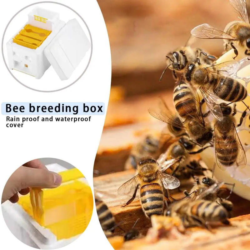 Description Picture 4 of itemMulti-Function Beehive Beekeeping King Box Foam Home Bee Hive Pollination Boxes Harvest Bee Hive Beekeeper Mating Supplies