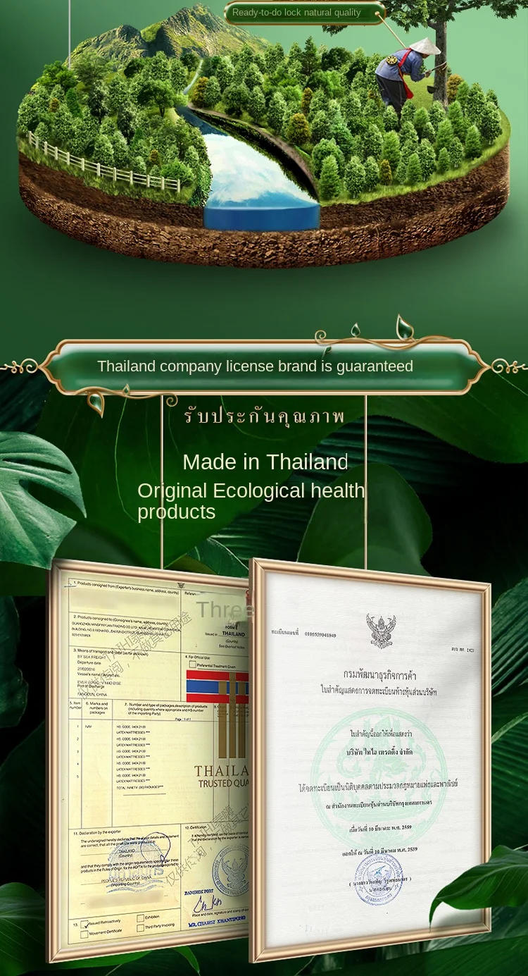 Description Picture 5 of itemTAIHI Orthopedic Latex Pillow Thailand Pure Natural Massage Memory Ergonomic Cervical Neck Pain Pillows For Sleeping For Bedroom