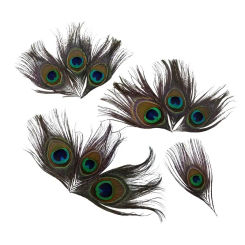 10Pcs Natural Peacock Eye Feathers Wedding Centerpiece Diy Dream Catcher Table Decoration Hair Accessories Craft Supplies Plumes