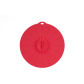 Diameter 250mm