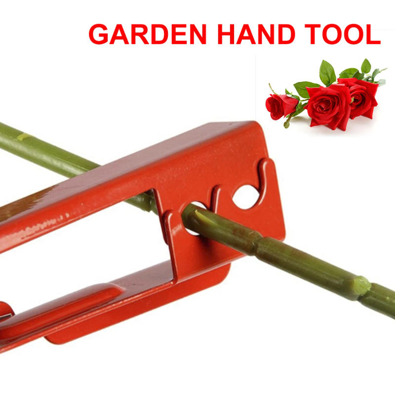 Description Picture 2 of item3 Set Rose Leaf Thorn Strippers Flower Branch Pruning Pliers Gloves Remover Metal Portable Garden Removing Burrs Hand Tool