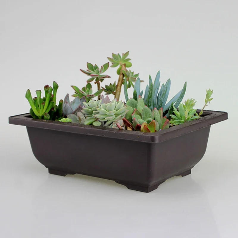 Description Picture 5 of itemContainer Flower Pot Holder Living Room Nursery Plastic Rectangle Reusable Saucer Antique Balcony Bonsai Garden