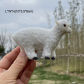 Small Sheep