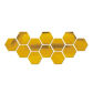 12PCS Gold