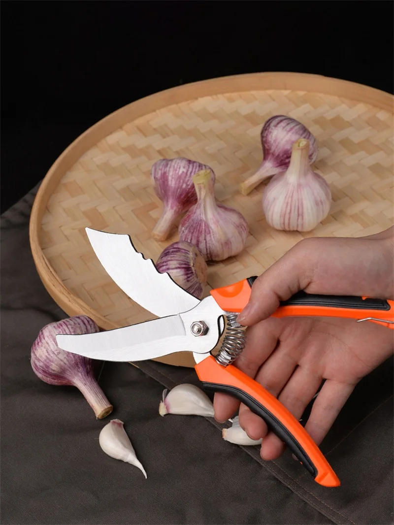 Description Picture 2 of itemTwo-Color Plastic Handle Garlic Scissors Big End Scissors Vegetable Trimming Onion Shears Cooking Kitchen Cutter Spring Design
