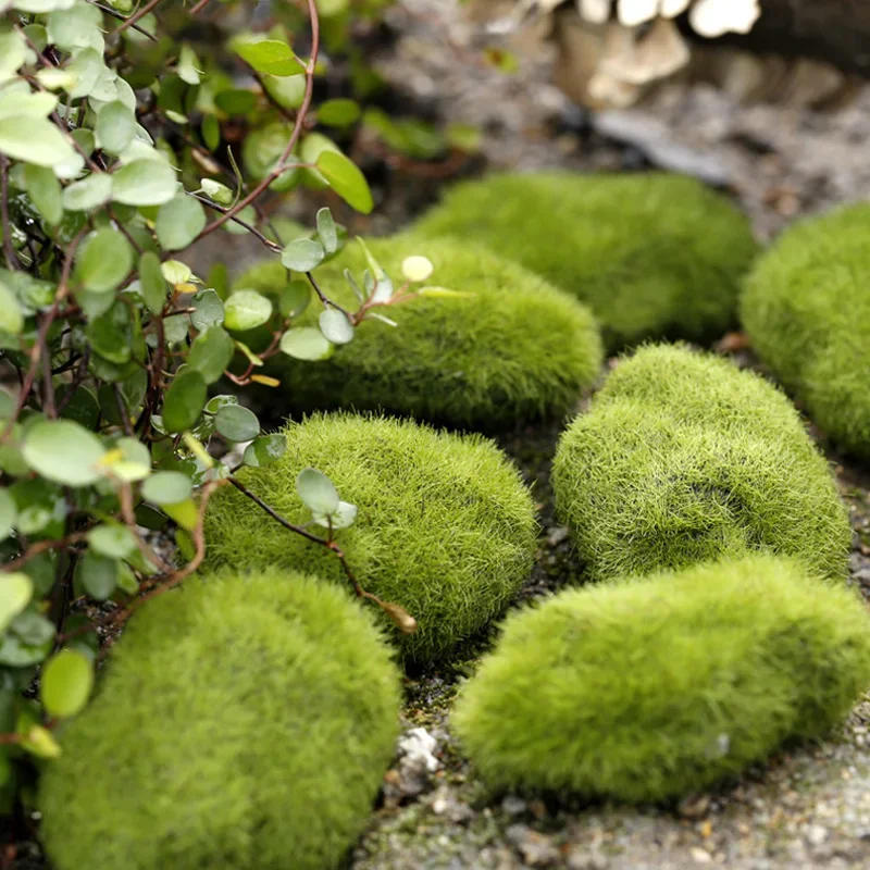 Description Picture 5 of itemFake Stone Artificial Moss Rocks Home Decor Micro Landscape Simulation Plant DIY Decoration for Garden and Crafting Home Decor