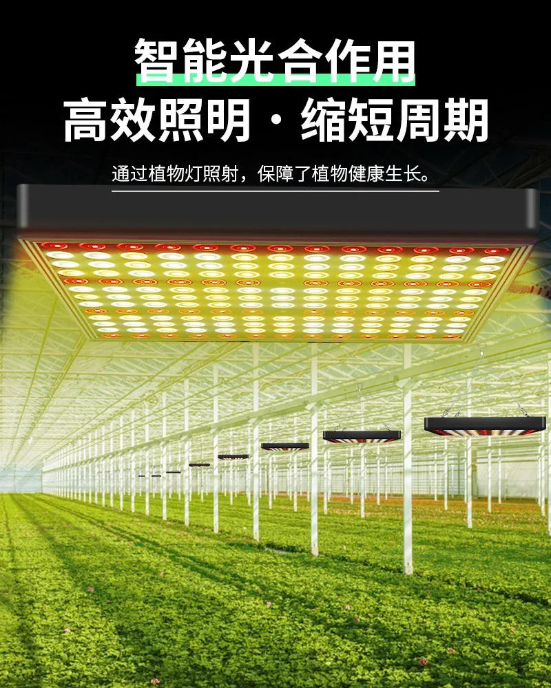 Description Picture 6 of itemHot Selling Lighting Black Full Spectrum LED Plant Growth Light Succulent Fill Light Anti-leggy Vegetable Flower Planting Light