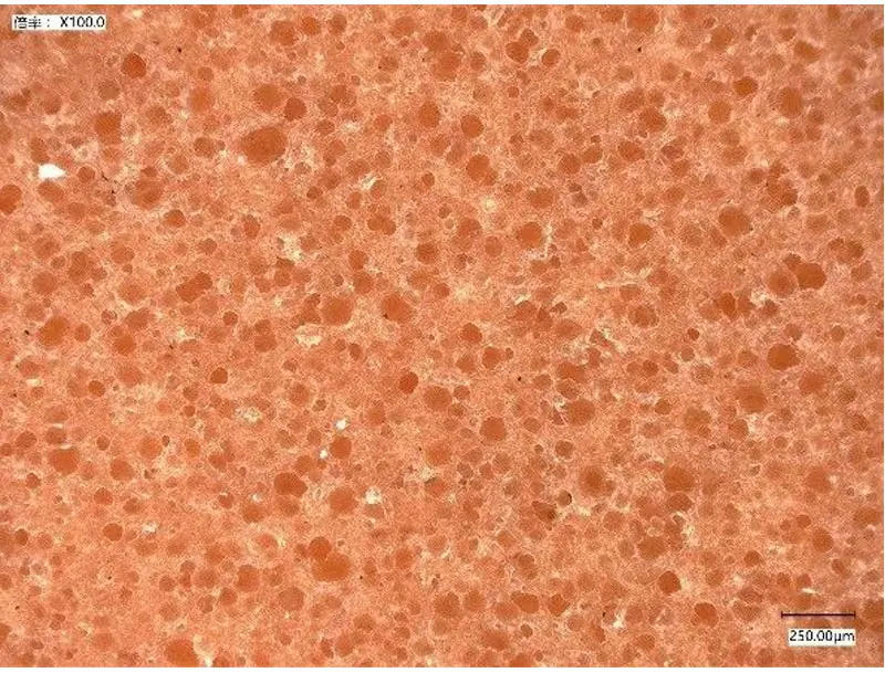 Description Picture 6 of itemWorld premiere 729 Friendship Battle 3 Table Tennis Rubber Sticky Professional Original  Ping Pong Rubber Brand New 100%