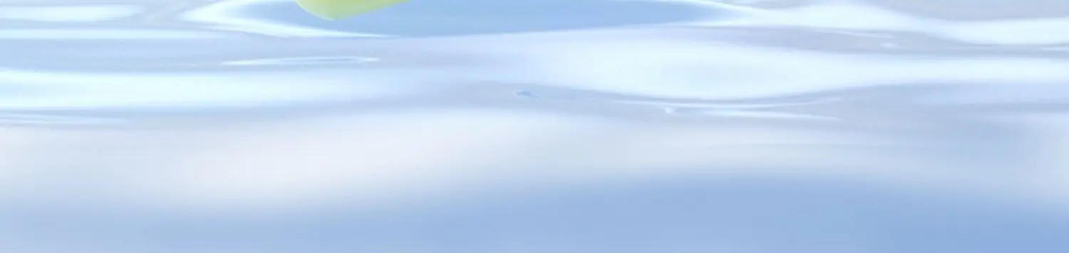 Description Picture 3 of itemDental washer portable household dental washer dental floss electric toothbrush