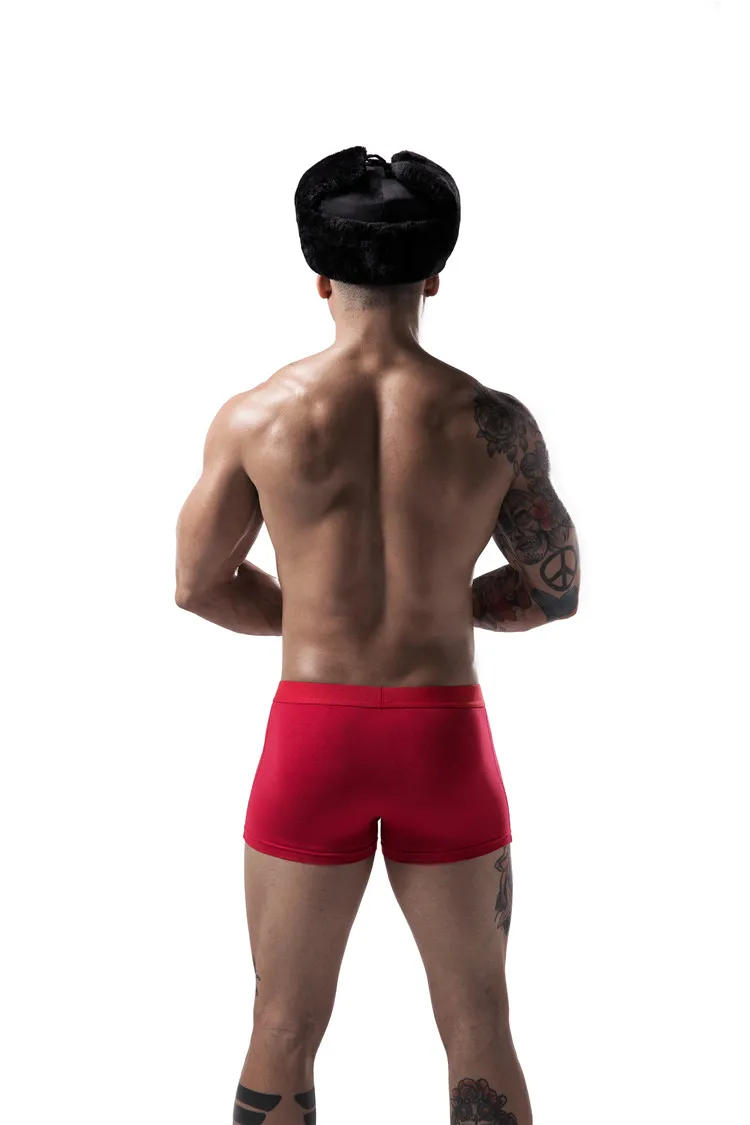 Description Picture 5 of itemSexy Underwear with Hole Male Boxershorts for Man Undrewear Breathable Cotton Men's Panties