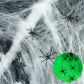 60g with 4pcs spider