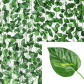 Pothos Leaves