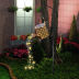 Slide image 77113fdf3bf349e287dec8b038401d24