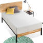 Twin 10Inch Mattress