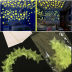 Slide image fbd7895e355649519312ced433c8a65c