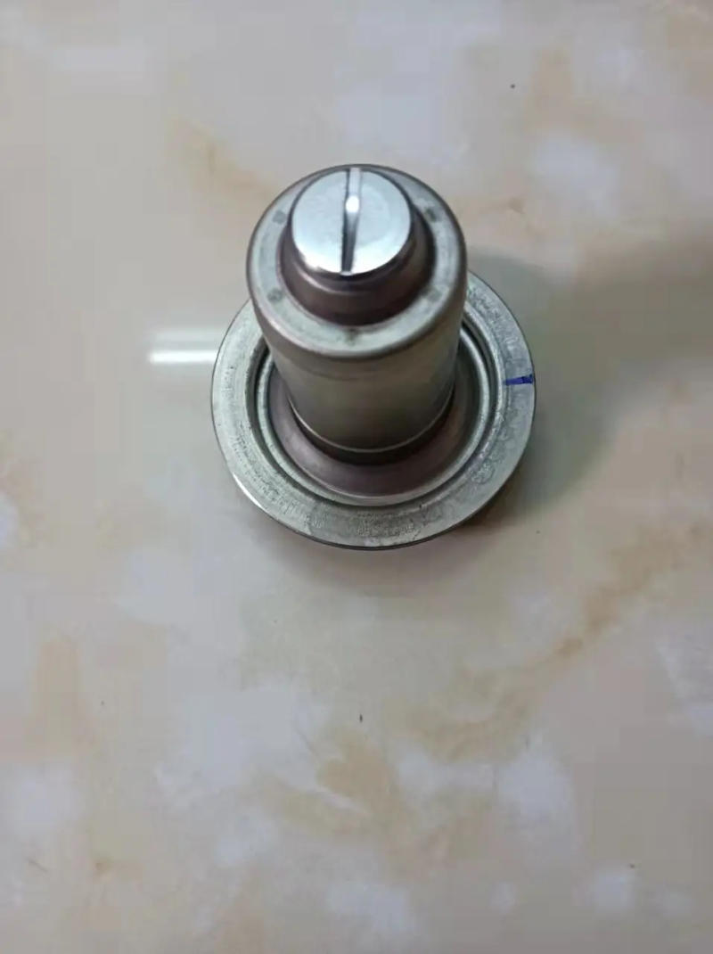 Description Picture 5 of itemGrundfos UPS15-50 UPS15-60 UPS15-70 Gas Boiler Spare Part Water Circulation Pump Motor Rotor Water Leaves for UPS 15- 50 60 70