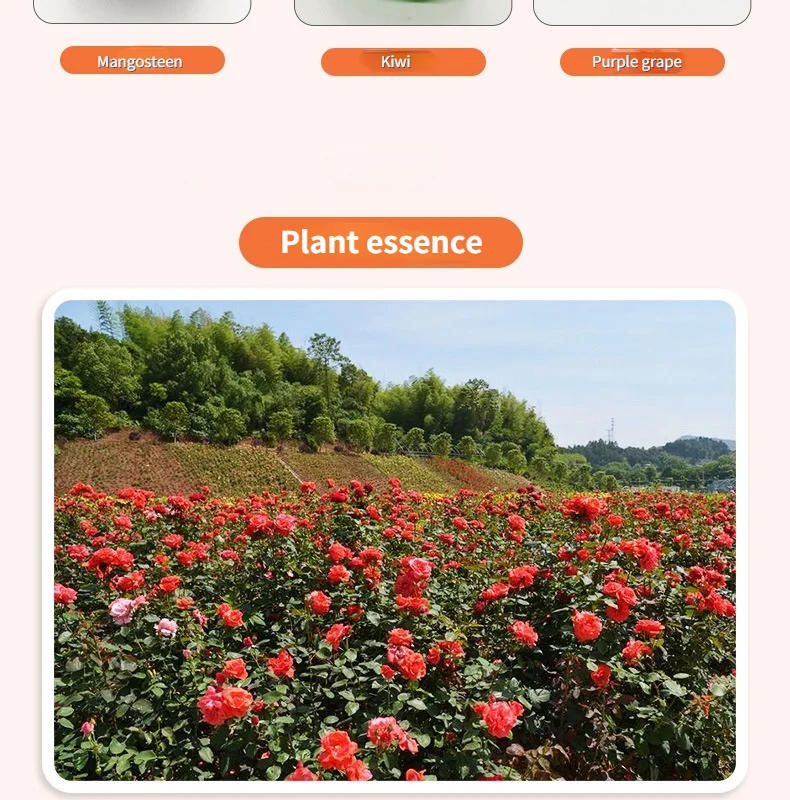 Description Picture 6 of itemFruit Shape Essential Oil Fruit Soap Handmade Soap Fruit Soap Child Shower Soap Gift Soap Banana Soap Watermelon Soap Toy Soap