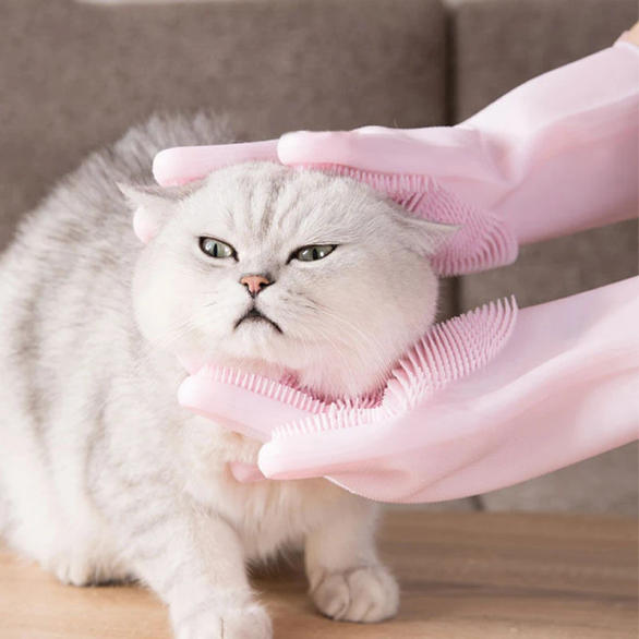 Slide 48659a522b2047debc3addf449552304