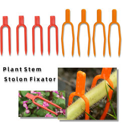 30PCS Plant Stem Creeping Holder 55/65MM Garden Watermelon Planting Fork  Strawberry Fixing Clamp Clip Reusable Vine Holder
