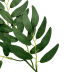 Slide image e19264b0aa92476eb815c6f27cb3ddde