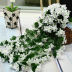 Slide image d20d687bb0884046814dd5c0187d4bd6