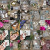 Slide image f80582105a3d4eedb918569050f46597