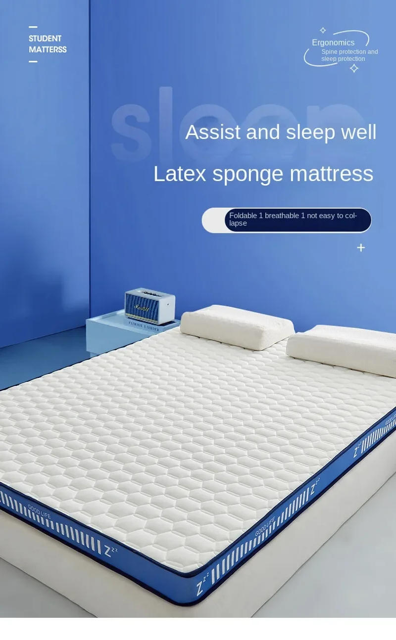 Description Picture 3 of itemTatami Slow Rebound Memory Foam Filling Students Thickened Breathable Mattress Home Hotel Latex Mattress Double Full Size