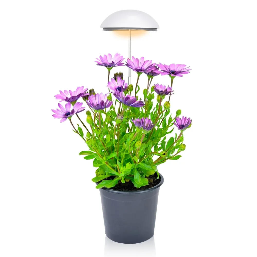 Description Picture 2 of itemLED Ring Grow Light Growing Lamp Full Spectrum with Auto On/Off Timer Height Adjustable Dimmable Growth Lights for Indoor Plants