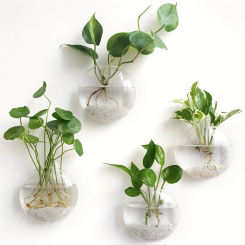Transparent Semi-circular Glass Vase Wall Hanging Decoration Office Hydroponics Vases Cute Ball Shaped Moss Ecological Bottle