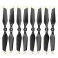 8331 Black Gold