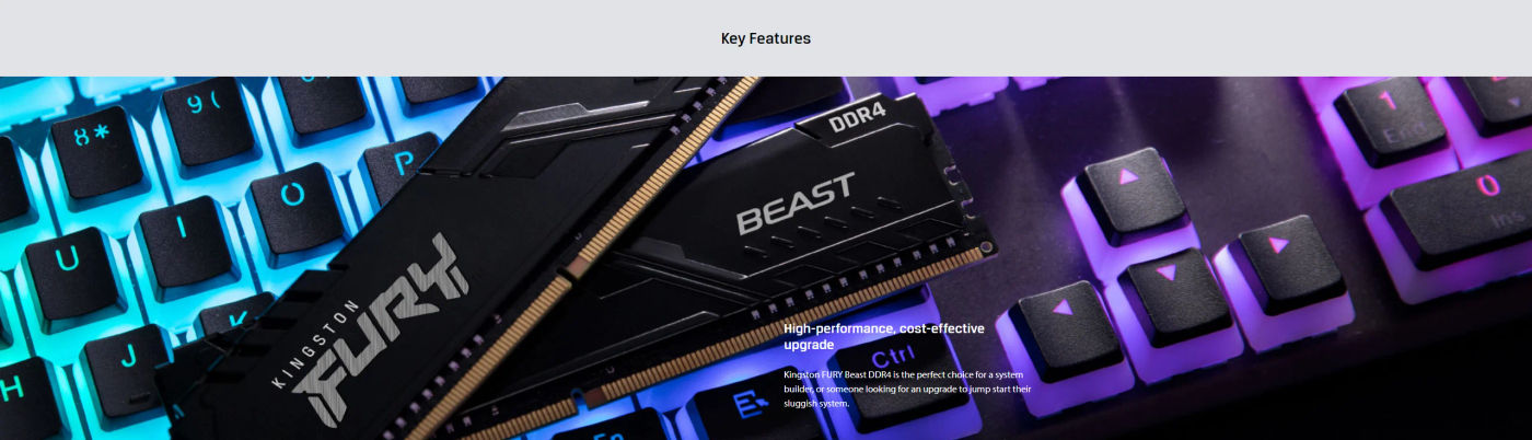 Description Picture 4 of itemKingston FURY Beast DDR4 4GB 8GB 16GB 32GB 3200MHz 3600MHz Desktop AMD Intel CPU Motherboard  RAMs 288 PIN 1.2V