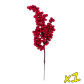 1 Branch