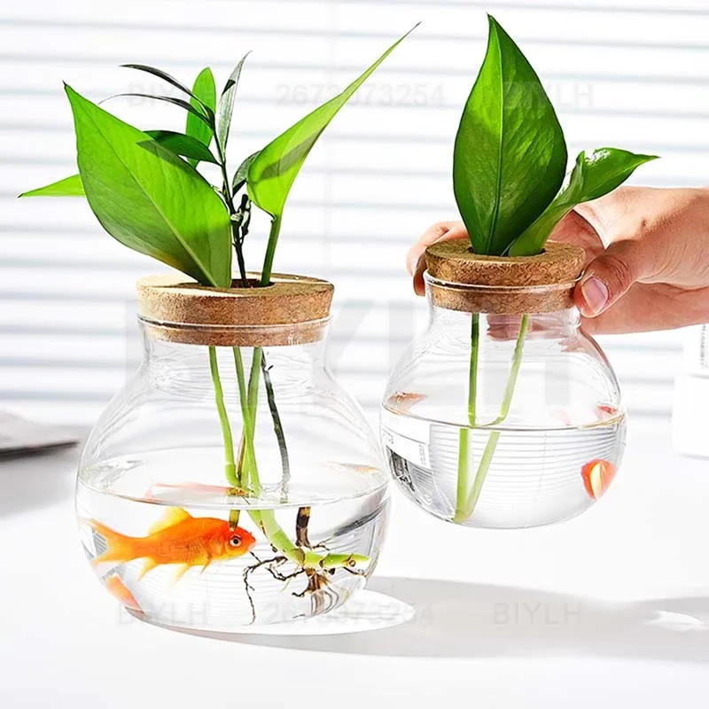 Description Picture 3 of itemTransparent Hydroponic Plants Glass Vase Propagation Station Vase Rack Office Home Decoration Micro-landscape Ecological Bottle