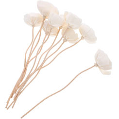 10 Pcs Aromatherapy Diffusers Sticks Fragrance Oil Bottle Accessory Dried Flower Reeds Artificial