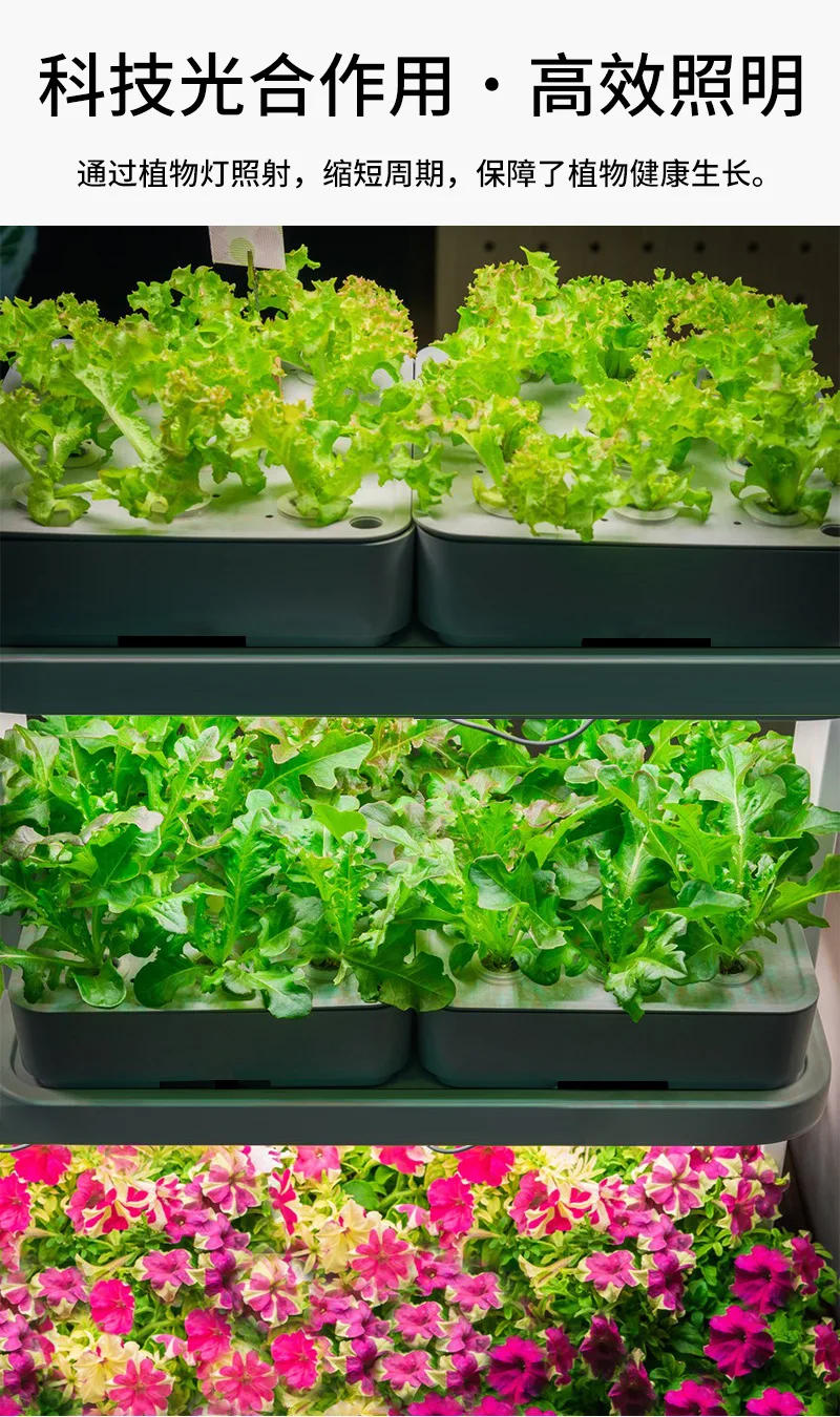 Description Picture 3 of item30/50CM Multi Head LED Plant Growth Indoor Potted Plant Planting Growth Light USB Intelligent Dimming 3-color Timed Fill Light