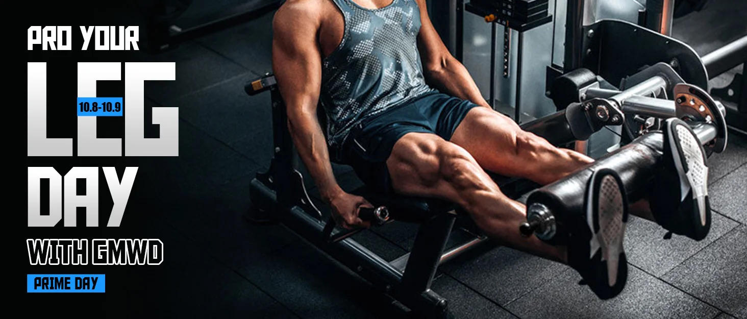 Description Picture 2 of itemSeated Row Machine, Plate Loaded Back Chest Machine, Upper Body Workout Machine with Rotating Handles, Home Gym Equipment