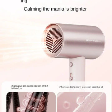 Professional Hair Dryer for Home with Constant Temperature and Negative Ion Hair Care, High-speed and Powerful Wind Blower 220V