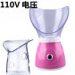 110V pink