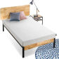 Twin 6 Inch Mattress