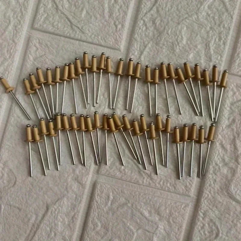 Description Picture 6 of item50pcs Color Painted Blind Rivets RAL1001 Round Head Hollow Rivets Industrial Fasteners Aluminium Steel Home Decor Rivets 5/32"